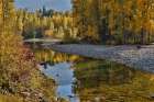 USA, Washington State. Autumn colors along the Methow River near Winthrop Art Print